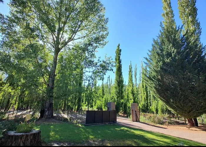 Las Margaritas
